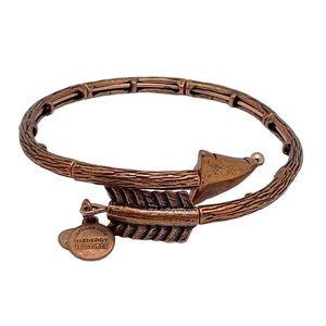 Alex and Ani - Arrow Wrap Bracelet